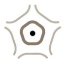 Kane Hall Barry Neurology company logo