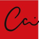 Colarelli Construction Company company logo