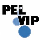 PEL/VIP Staffing, Education and Consulting company logo