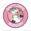 Daisy Fays Ltd company logo