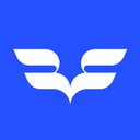 Blue Flamingos B.V. company logo