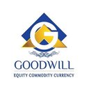 Goodwill wealth management Pvt Ltd company logo