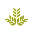 Northeast Georgia Health System company logo