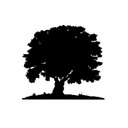 General Landscaping company logo