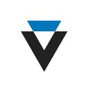 Vision Real Estate company logo