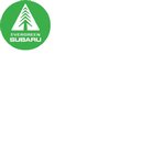 Evergreen Subaru company logo
