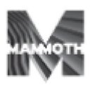 Mammoth Inc. company logo