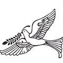 Dove Home Care Agency Ltd company logo