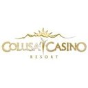 COLUSA CASINO RESORT company logo