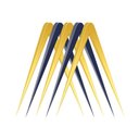 MetaSense Inc company logo
