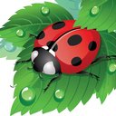 Ladybirds Nursery company logo