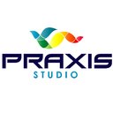 Praxis Studio company logo