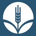 Bloomingfoods Market &amp; Deli company logo