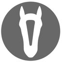 Reinhold Hospitality GmbH company logo