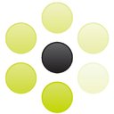 Blackstone Medical Services company logo