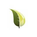 Catania-Spagna Corp company logo