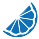 BLUE LEMON company logo