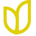 eliseo company logo