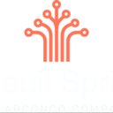 Circuit Spring LLC company logo