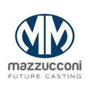 FONDERIE MARIO MAZZUCCONI SPA company logo
