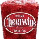 PIEDMONT CHEERWINE BOTTLING CORP company logo