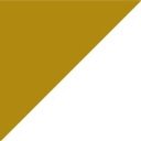 Precision for Medicine company logo