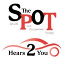 Palmetto SpOT company logo