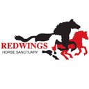 Redwings Horse Sanctuary