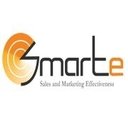 SMARTe Inc company logo