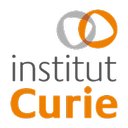 Institut Curie company logo
