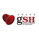 Grupo GSH company logo