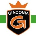 GIACONIA S.R.L. company logo