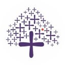 Asit C Mehta Investment Interrmediates company logo