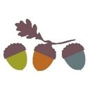 Little Acorns Nursery company logo