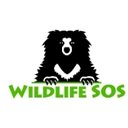 Wildlife SOS company logo