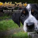 Motley Zoo Animal Rescue company logo