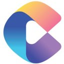 Catapult Solutions Group Inc. company logo