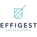 EFFIGEST company logo