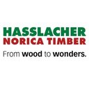 HASSLACHER Holzbauteile GmbH &amp; Co. KG company logo