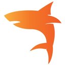 Dutchwebshark company logo