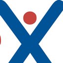 Sintex Servizi srl company logo