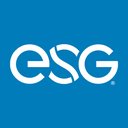 Energy Systems Group company logo