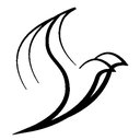 Twin Doves AFC company logo