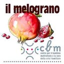 Il Melograno Sociale ONLUS company logo