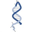 Molecular Instruments company logo