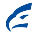 EAS Tire & Auto company logo