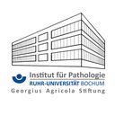 Institut für Pathologie der Ruhr-Universität Bochum company logo
