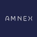 Amnex Infotechnologies Private Limited company logo