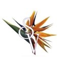 Seacrest Village Retirement Communities company logo
