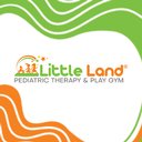 Little Land Pediatric Therapy &amp; Play Gym company logo